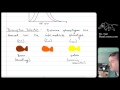 AP Biology – Evolution – Lesson 3  Types of Natural Selection