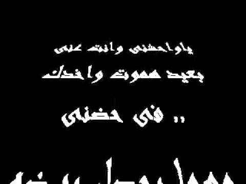 تامر حسني 2011 يا وحشني