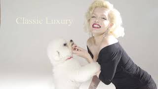 Marilyn Monroe Visits Dogs & Horses London Atelier