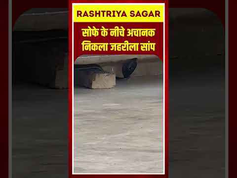 Short video