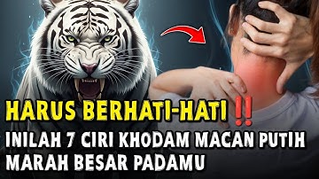 PERHATIKAN HAL PENTING INI ‼️ INILAH 7 TANDA BILA KHODAM MACAN PUTIH SEDANG MARAH BESAR KEPADAMU