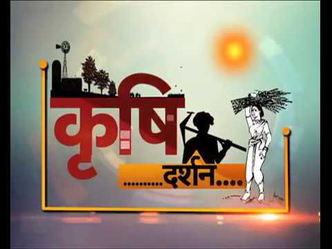 Krishi Darshan - PMFBY, Kisan Kalyan Abhiyan and Basmati rice special basmati rice benefits