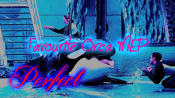 { Perfect } ᴹᴱᴾ // COMPLETE