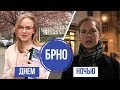 Чем заняться в Чехии днем и ночью?