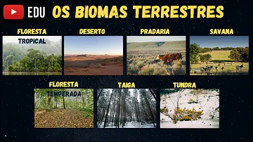 Quais são os biomas do planeta?