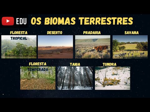 Vídeo: O que são biomas terrestres?