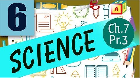 class 6 science chapter 7 getting to know plants part 3 17 june 2020