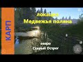 Русская рыбалка 4 - озеро Старый Острог - Карп на точке с угрем