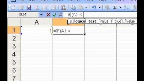 Microsoft Office Excel 2003 IF Function
