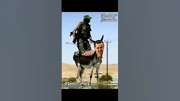 يا بشار ويا صرماي تضرب انت وهل ترباي 