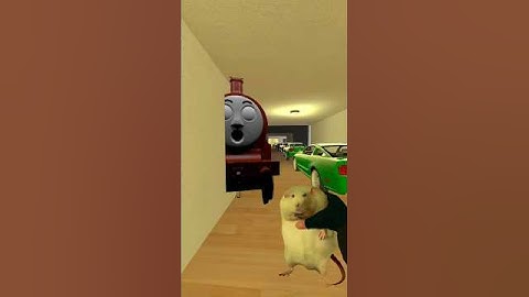The Train vs Cat Chasing in Liminal Hotel Nextbots Gmod