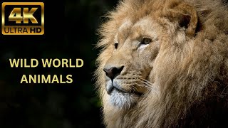 Amazing of Wild Animals In 4K - Animals That Call The Jungle Home - Scenic Film