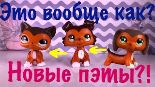 LPS: ЭТО ВООБЩЕ КАК? (РАСПАКОВКА #5)