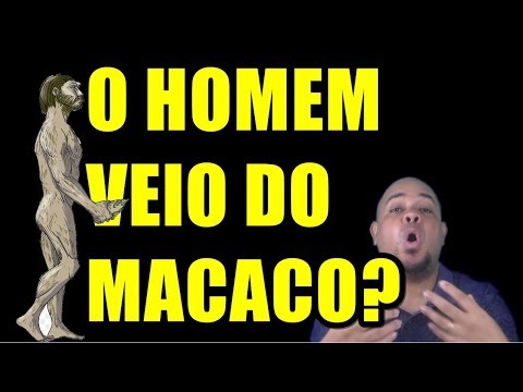 Se o homem evoluiu do macaco, por que ainda existem macacos?