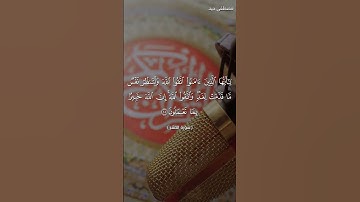 تلاوة خاشعة من سورة الحشر بصوت القارئ مصطفى جيد