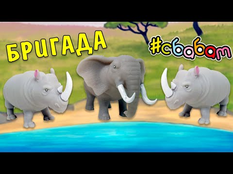 Бригада ПОВЕЛИТЕЛИ САВАННЫ от СбабАм! Антистресс коллекция 2022