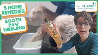 5 SOOTHING FOOT BATH RECIPES FOR YOUR DOG'S ITCHY PAWS by Jitka Krizo Averis 4,272 views 3 years ago 8 minutes, 34 seconds