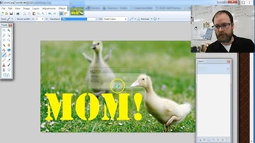 How To Make an Animated Gif with Paint.net and Pivot