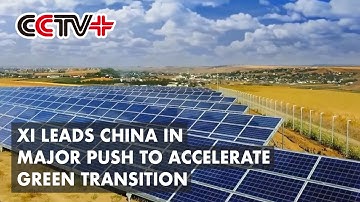Xi Leads China in Major Push to Accelerate Green Transition in 2021