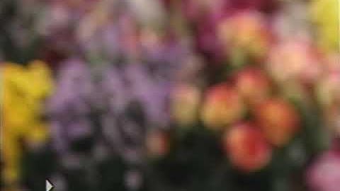 Walk Around The Block (1999 Version) Part 48