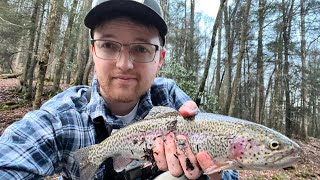 A Record Day At The Holly River (Most Trout I Have Ever Caught) by Jark 617 views 1 year ago 15 minutes