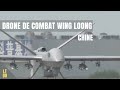 Drone de combat chinois wing loong 1 2 et 3