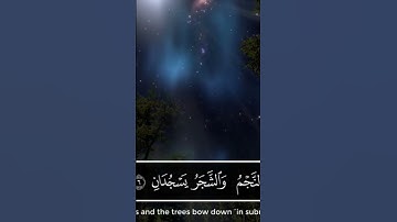 سورة الرحمن بصوت جميل جدا جدا