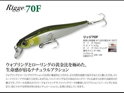 ОБЗОР ZIPBAITS RIGGE 70F