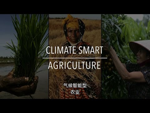 FAO 政策系列: 气候智能型农业（带字幕）
