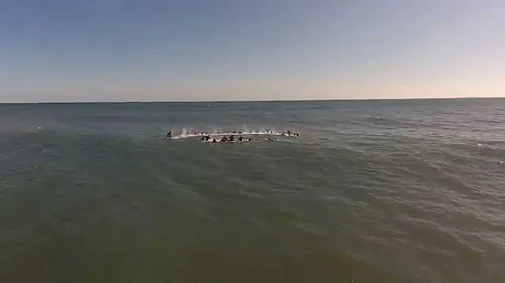 Cory Hubbard Paddleout