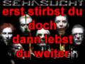 Rammstein-Ich tu dir weh-Lyrics