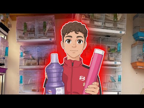 عملت سولوفان و نظفت للطيوري