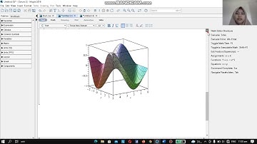 Grafik 2D dan 3D || Maple