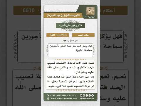 6610 حكم الأكل مما يصطاد بالسلاح الناري نور على الدرب