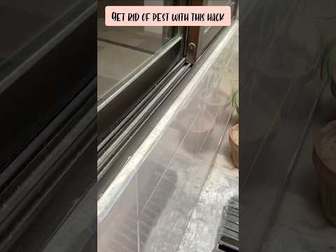 #lifehacks #hacks #pestcontrol