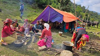 Nepal Mountain Village Life | Organic Shepherd's Food | Shepherd's Life in Nepal | Rural Life Nepal