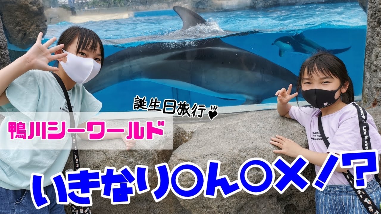 いきなりngワード炸裂 誕生日旅行先8歳直前のるーちゃんですｗ 鴨川シーワールド Youtube