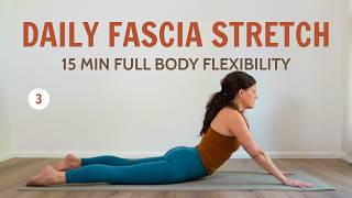15 Min Daily Fascia Stretch #3 | Full Body Flexibility Routine