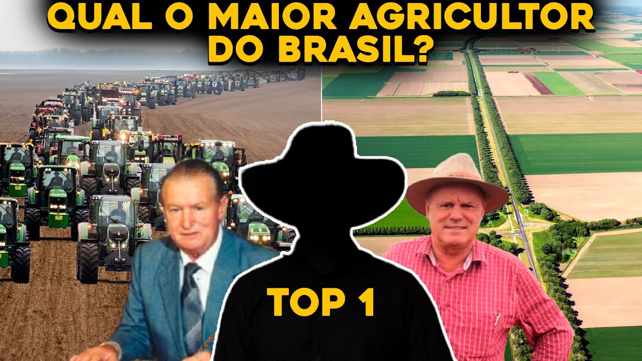 TOP 3 MAIORES AGRICULTORES DO BRASIL EM TAMANHO DE ÁREA PLANTADA