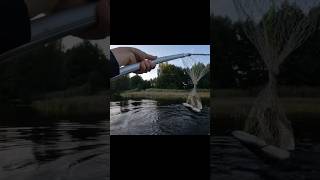 Хорошая взяла! #рыбалка #fishing #щука #pike #спиннинг #spinning #воблер #wobbler #shorts #2025