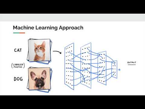 Conference 2019 | Abhishek Moturu & Alex Chang