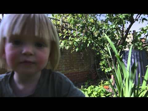 Harvey (2yo) Backyard Balance Bike Pump Track