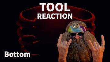 TOOLsday!! First Time Reaction TOOL "Bottom"