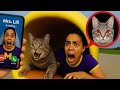 CURSE of OIIA FUNNY PIPE and Mr.Leo / MsLILI SAW the BIGGEST CUTE OIIA CAT at 3AM