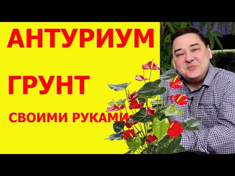 Состав грунт для антуриума своими руками