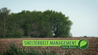 Farm Basics #999 Shelterbelts (Air Date 5-28-17)