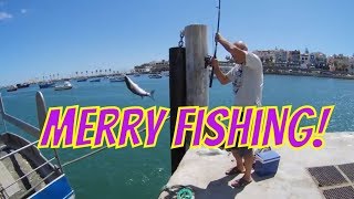 Merry fishing!Cascais
