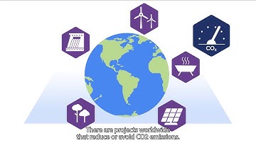 How to offset CO2 emissions