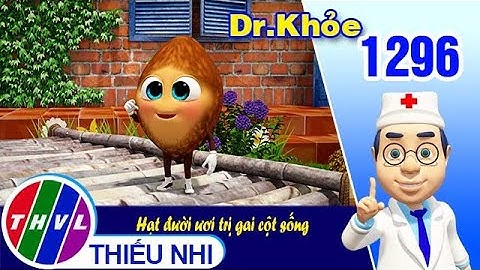 Dr. Khỏe - Tập 1296: Hạt đười ươi trị gai cột sống