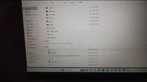 telegram chatbot creation using catfact api and linked with database